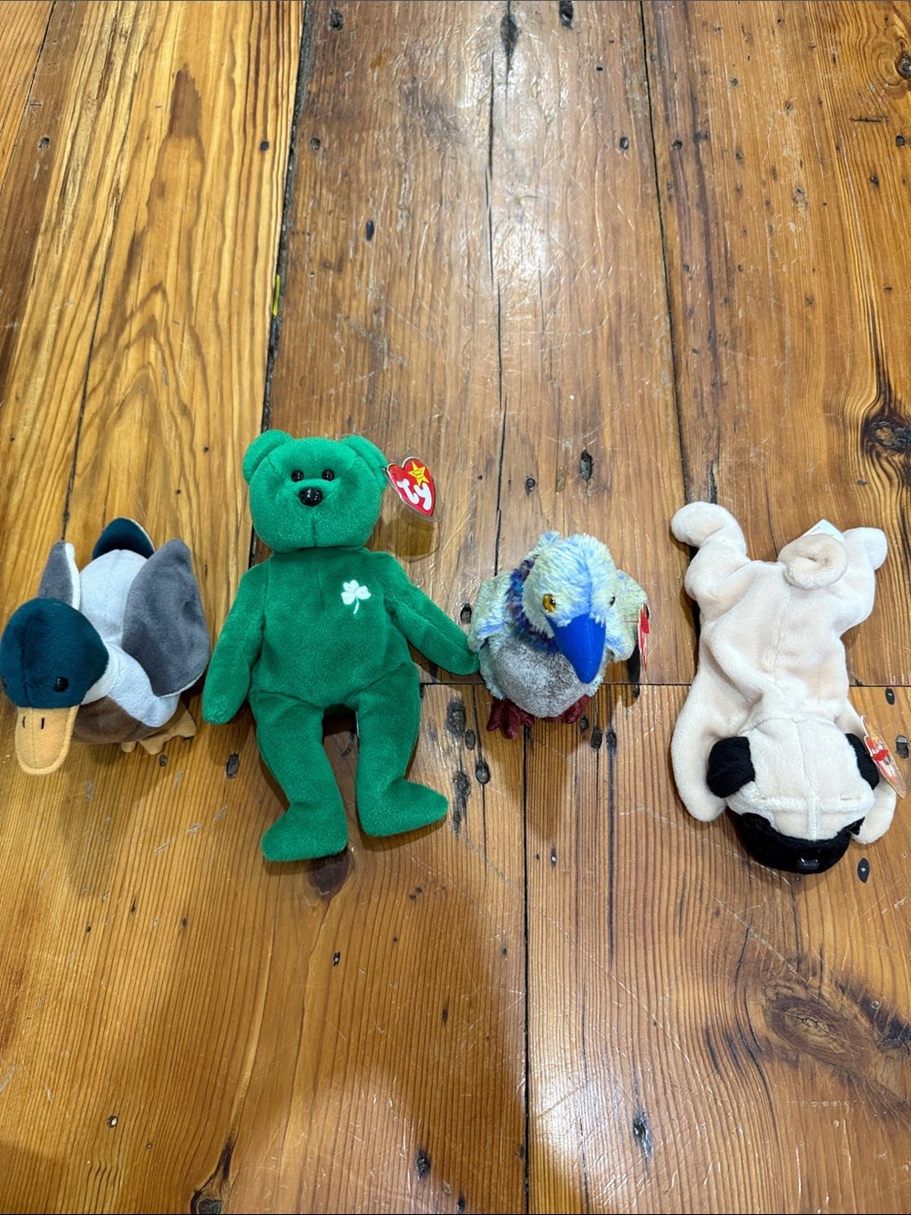 TY beanie babies Erin Jake Buzzy Puggsly stuffed animals stuffies vintage